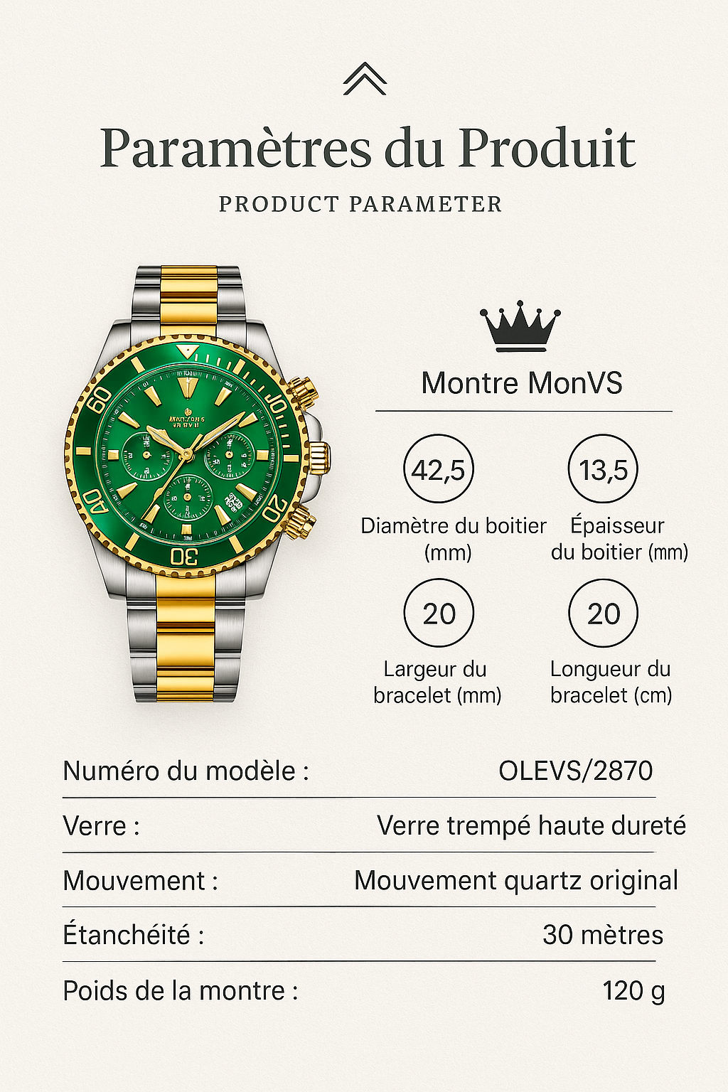 Montre Homme OLEVS